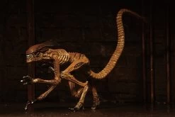 NECA Alien 3 Figuren - Accessory Creature Pack 14 NECA Alien 3 Figuren - Accessory Creature Pack -Charakterpuppen Geschäft 0046fe1c77a8a7e5309f55b9dced346b04cb13598c9af63b0134fa980ca21499