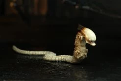 NECA Alien 3 - Dog Alien Actionfigur -Charakterpuppen Geschäft 515974 1