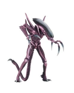 NECA Aliens Vs Predator (Arcade) Razor Claws Actionfigur -Charakterpuppen Geschäft 51677 2