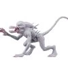 NECA Alien & Predator Classics - Neomorph Alien Actionfigur 2 NECA Alien & Predator Classics - Neomorph Alien Actionfigur -Charakterpuppen Geschäft 51695