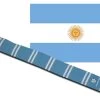 Diverse Fanschal Argentinien (bestickt)