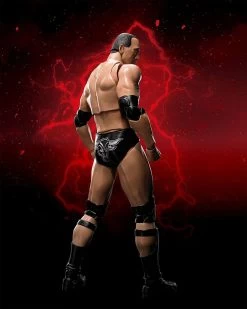WWE Superstar Series - The Rock - S.H. Figuarts Figur -Charakterpuppen Geschäft 81h6f8v uzl. ac sl1500