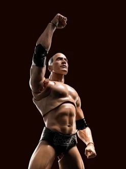 WWE Superstar Series - The Rock - S.H. Figuarts Figur -Charakterpuppen Geschäft 81igpavzhnl. ac sl1500